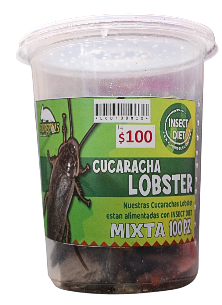 CUCARACHA LOBSTER 100pz MIXTAS