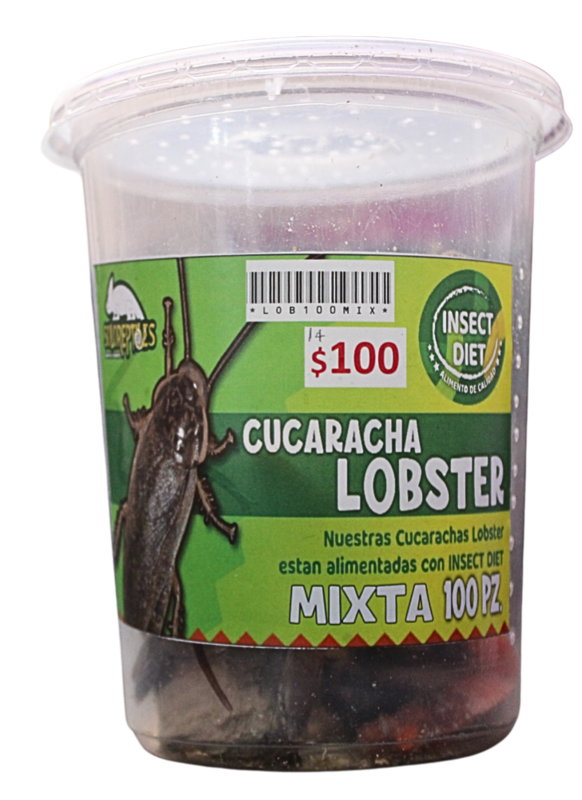 CUCARACHA LOBSTER 100pz MIXTAS
