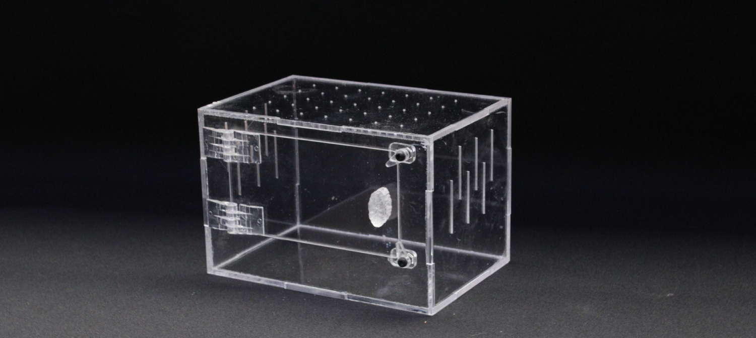 TERRARIO ACRILICO 10X10X15 HORIZONTAL