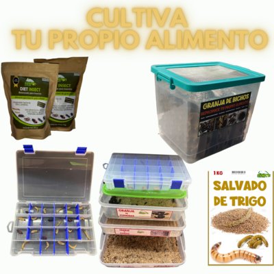 Cultiva tu propio alimento