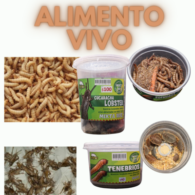 Alimento vivo