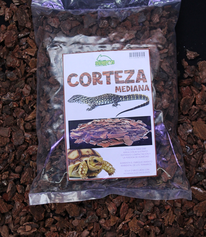 CORTEZA