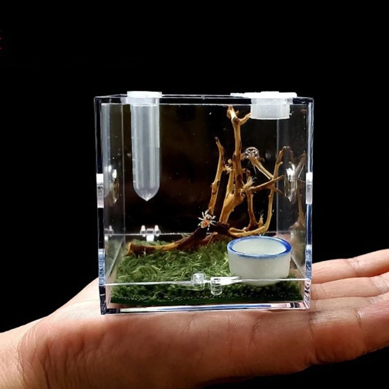 MINI HABITAT PARA INSECTOS GRANDE
