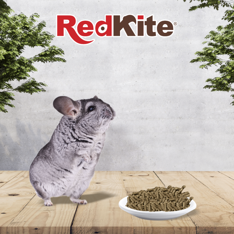 ALIMENTO PARA CHINCHILLA
