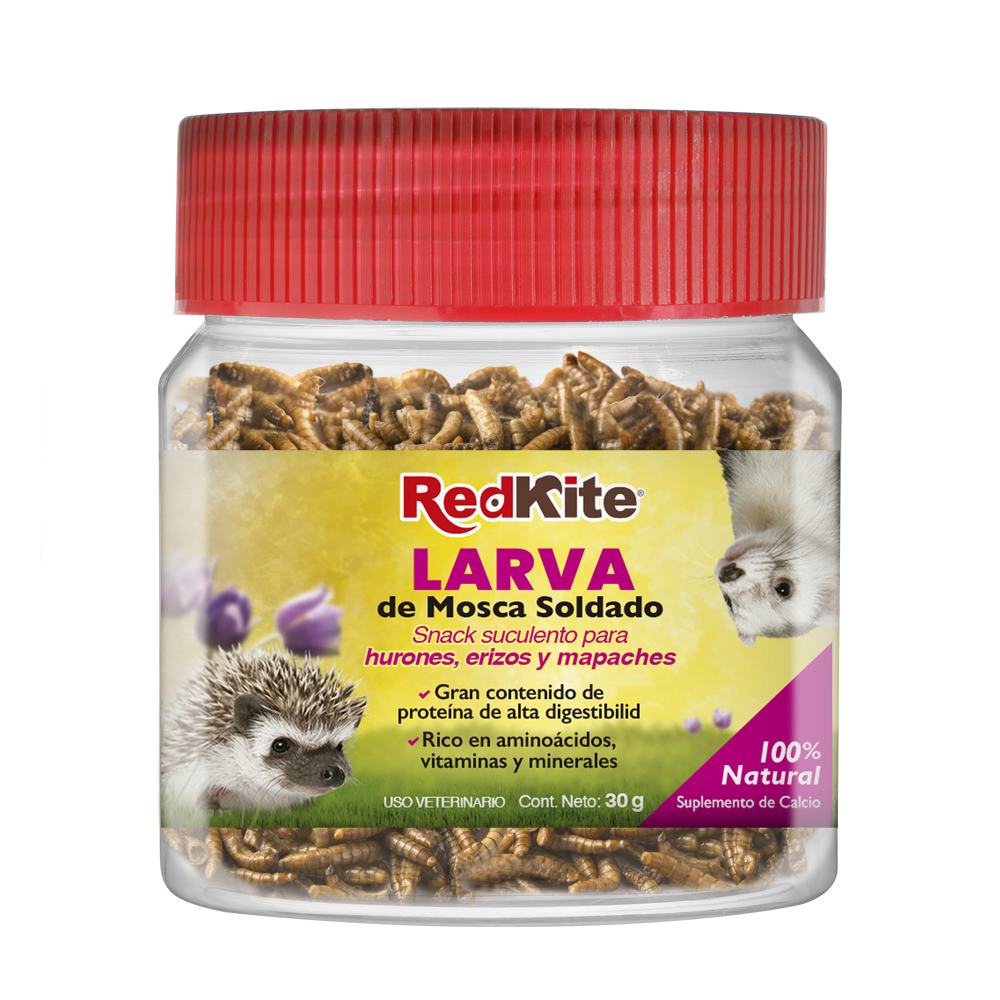 LARVA DE MOSCA SOLDADO 30GR
