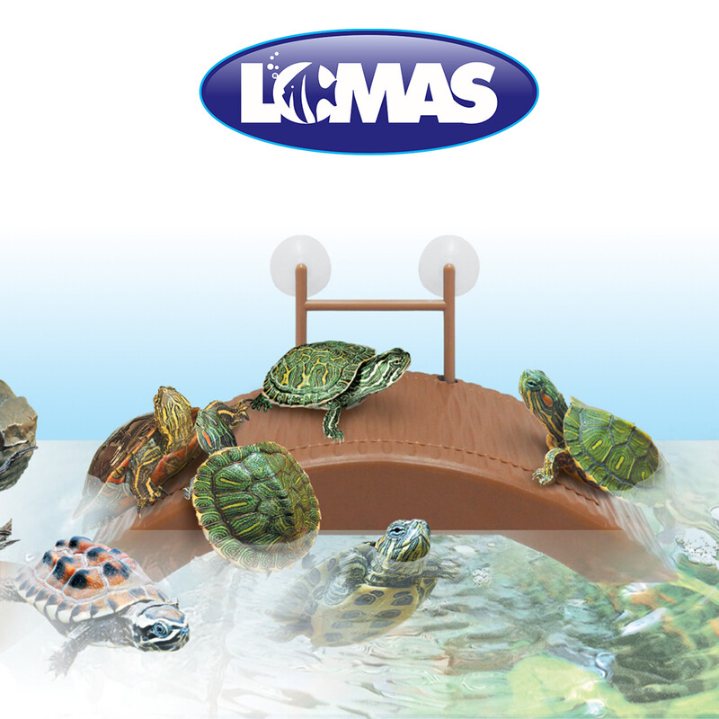MUELLE PARA TORTUGAS