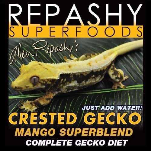 CRESTED GECKO MANGO