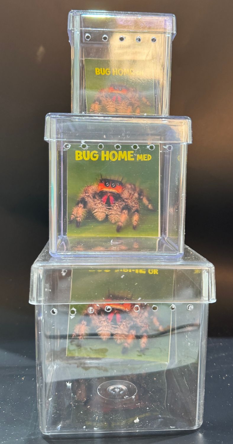 BUG HOUSE GRANDE