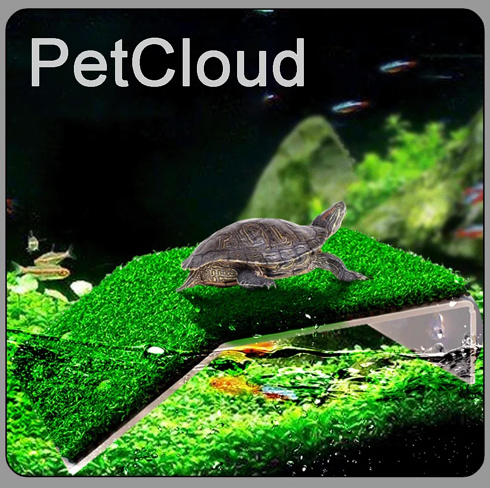 PLATAFORMA CHICA CON PASTO SINTETICO PARA TORTUGAS
