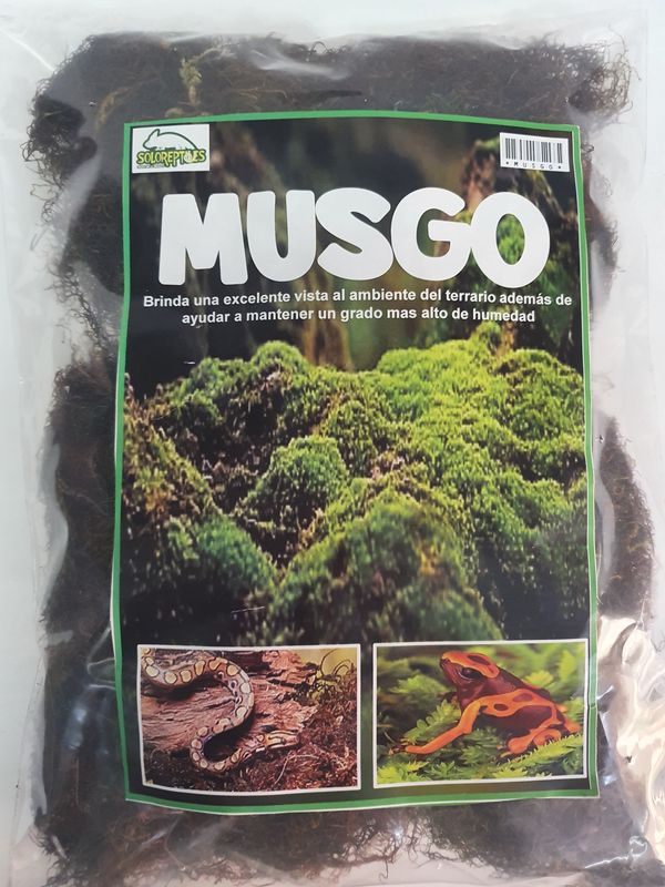 MUSGO VERDE DESHIDRATADO