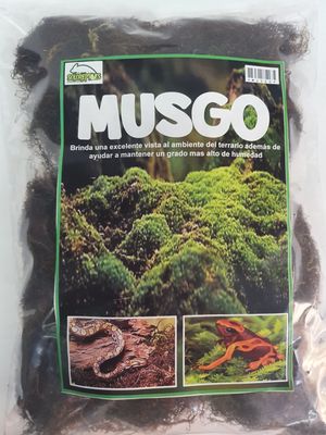 MUSGO VERDE DESHIDRATADO