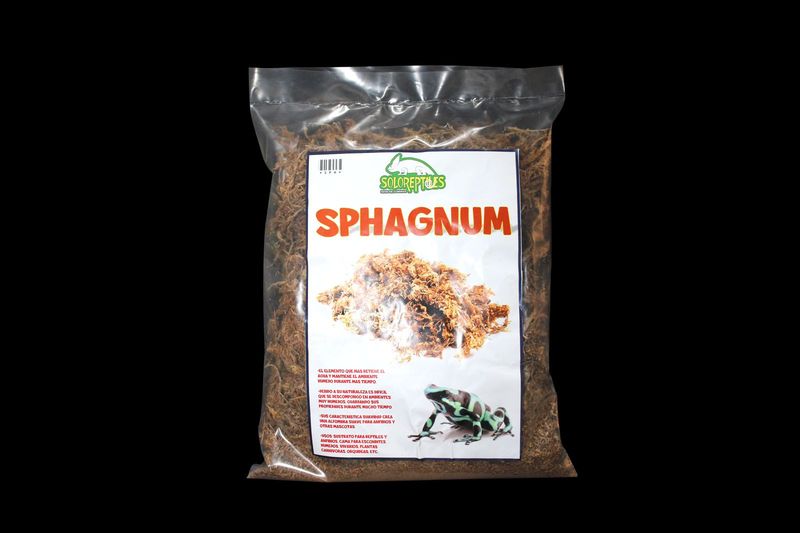 MUSGO SPHAGNUM