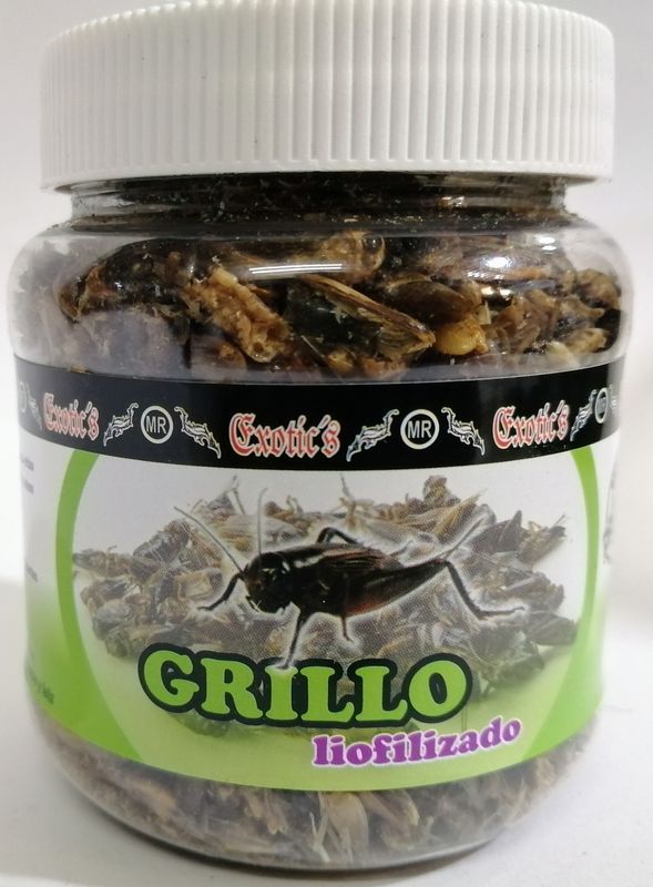 GRILLO LIOFILIZADO 50gr