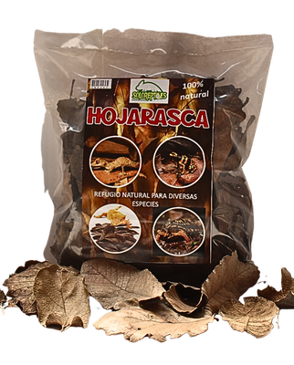 HOJARASCA