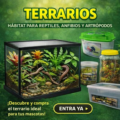 Terrarios