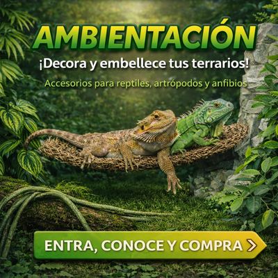 Ambientación Para Terrarios