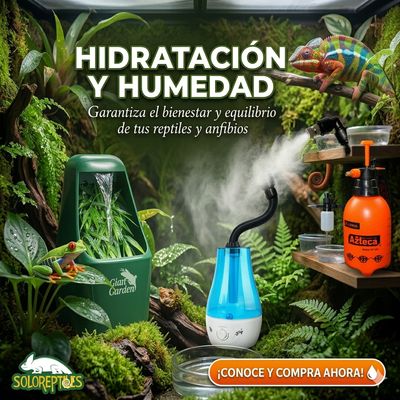 Hidratacion y humedad