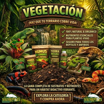 Vegetacion