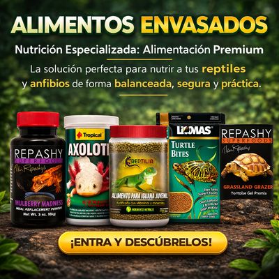 Alimentos envasados