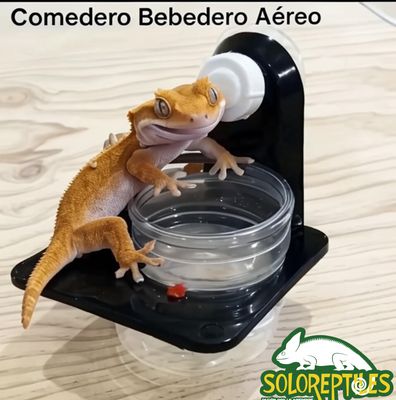 COMEDERO/BEBEDERO AEREO NEGRO INDIVIDUAL