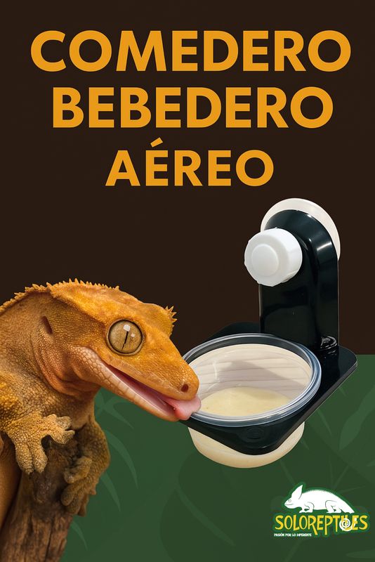 COMEDERO/BEBEDERO AEREO NEGRO INDIVIDUAL