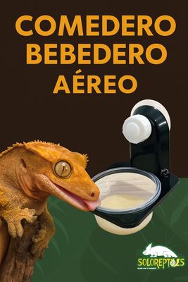 COMEDERO/BEBEDERO AEREO NEGRO INDIVIDUAL
