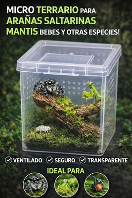 CAJITA PARA BICHOS CHICA