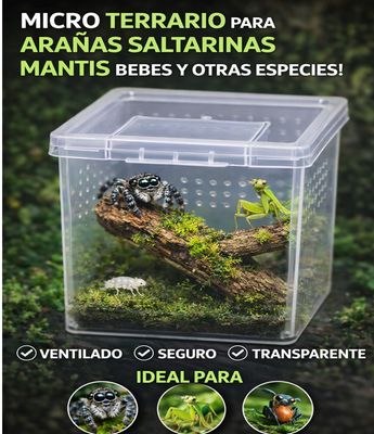 CAJITA PARA BICHOS CHICA