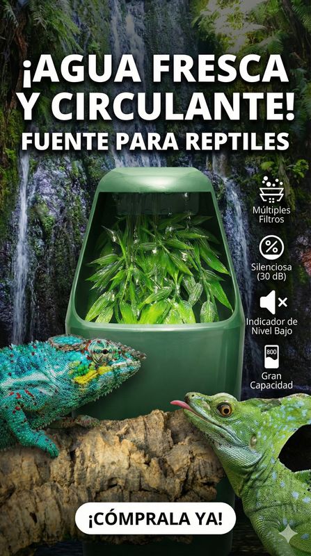 REPTIL DRINKING FOUNTAIN