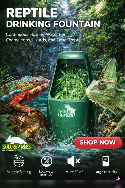 REPTIL DRINKING FOUNTAIN