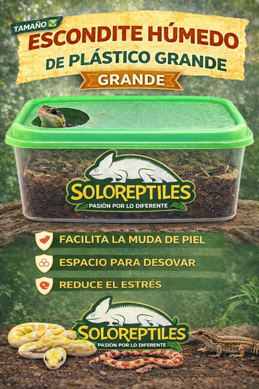 ESCONDITE HUMEDO GRANDE PLASTICO