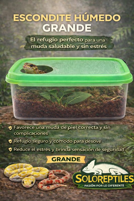 ESCONDITE HUMEDO GRANDE PLASTICO