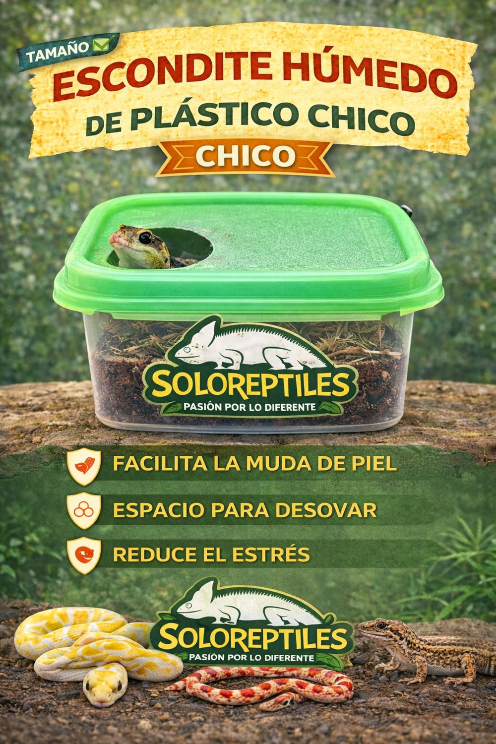 ESCONDITE HUMEDO CHICO PLASTICO