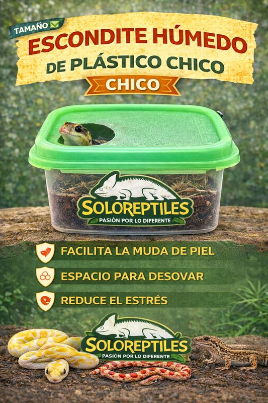 ESCONDITE HUMEDO CHICO PLASTICO