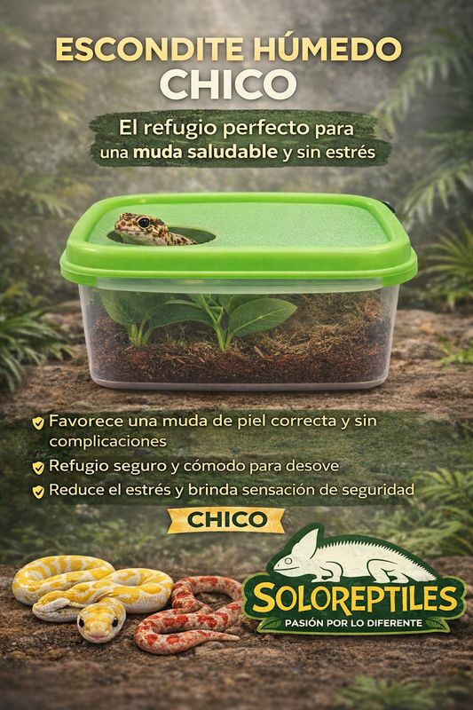 ESCONDITE HUMEDO CHICO PLASTICO