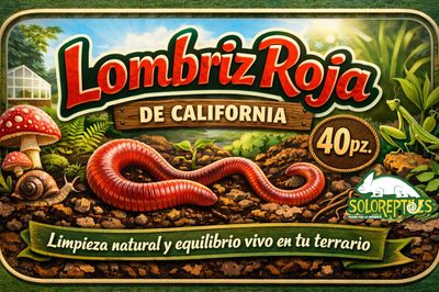 LOMBRIZ ROJA DE CALIFORNIA 40pZ