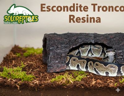 ESCONDITE TRONCO GRANDE