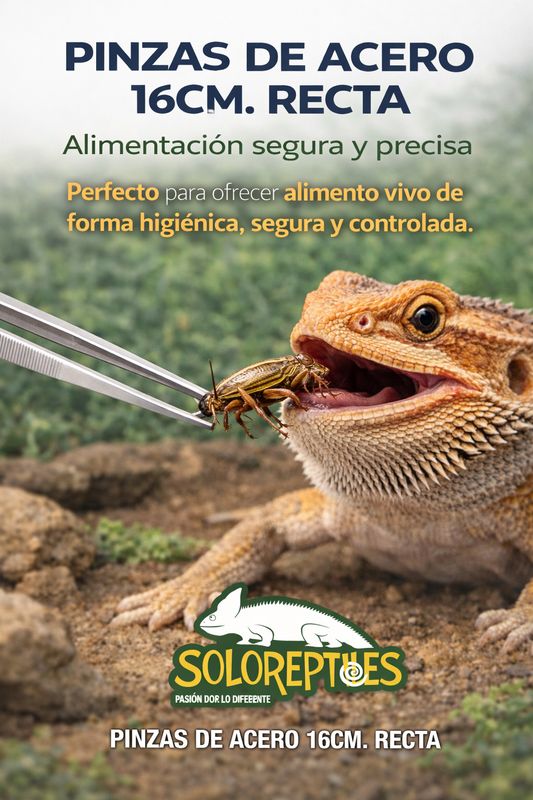 PINZAS DE ACERO 16CM. RECTAS