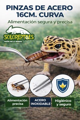 PINZAS DE ACERO 16CM. RECTAS
