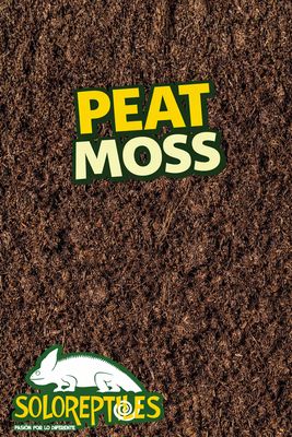 PEAT MOSS 1GL