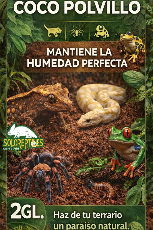 COCO MOLIDO POLVILLO 2GL