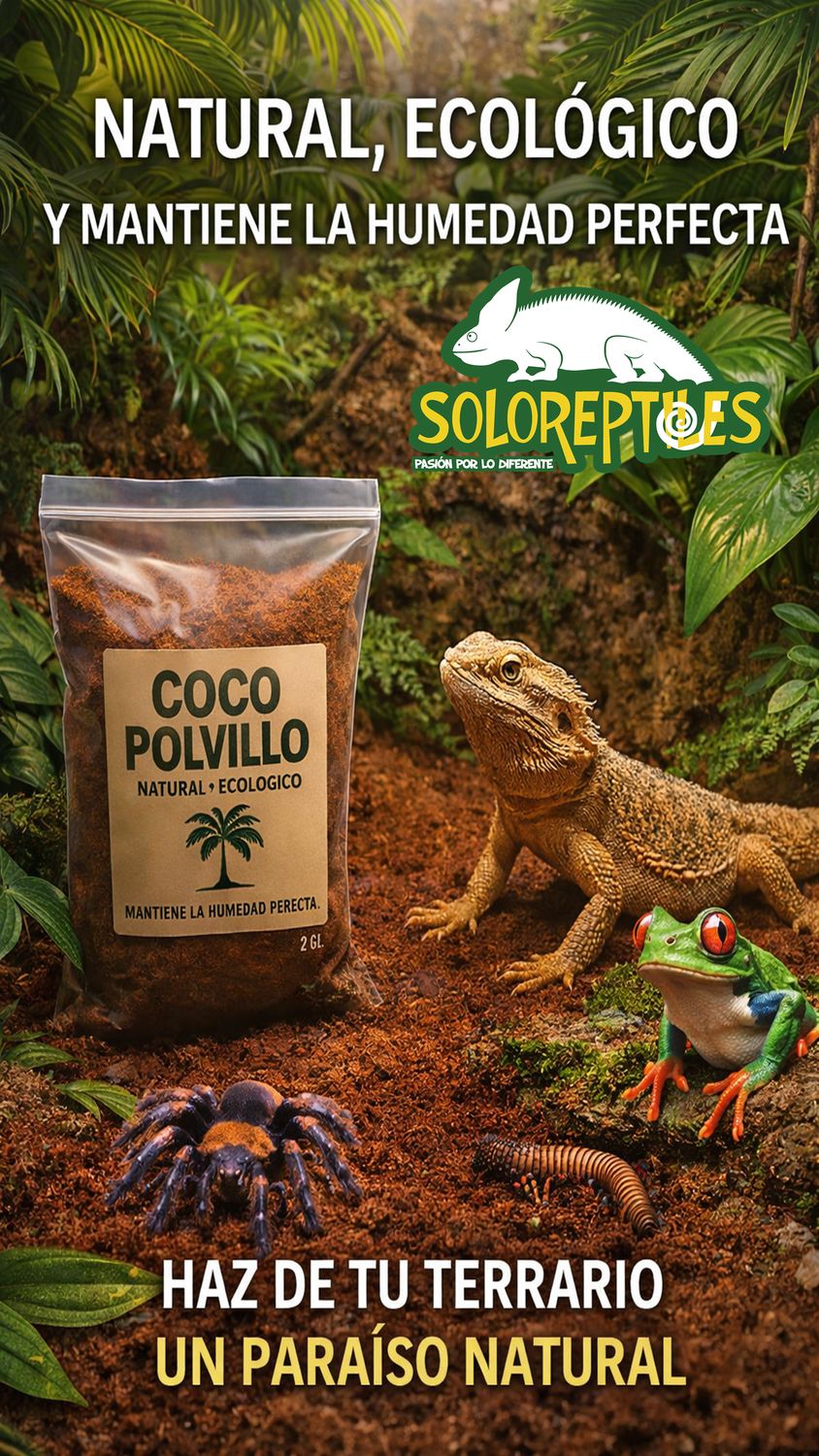 COCO MOLIDO POLVILLO 1GL