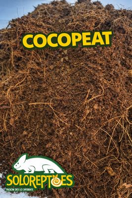 COCO PEAT 1GL