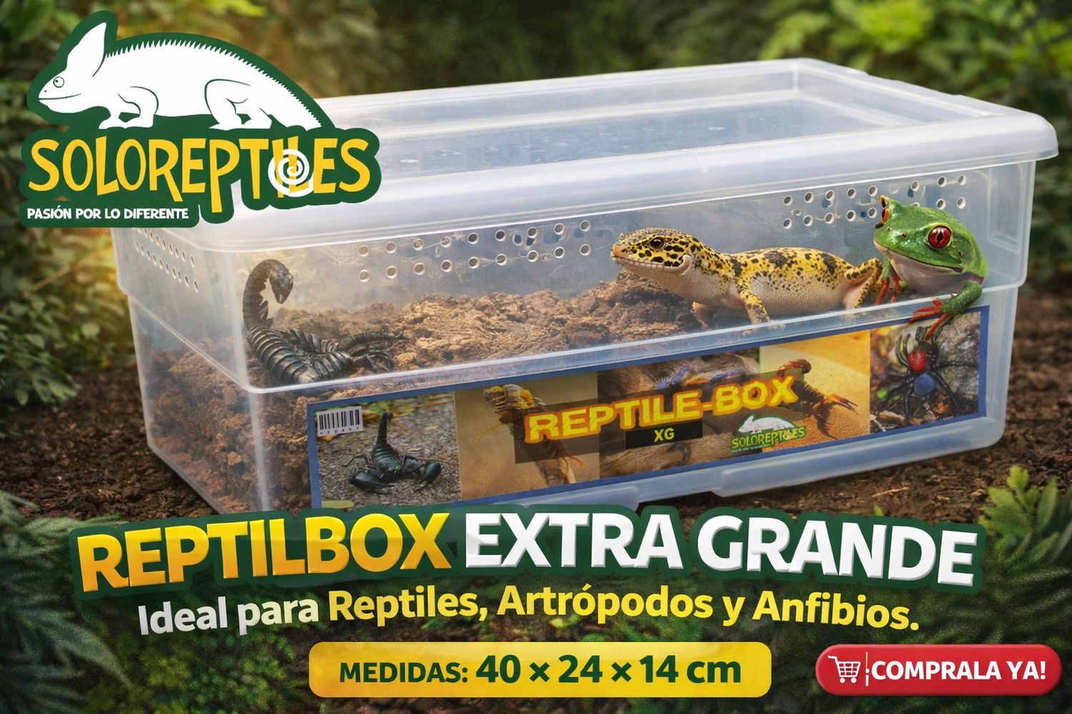 REPTIL BOX EXTRA GRANDE