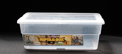 REPTIL BOX CHICO