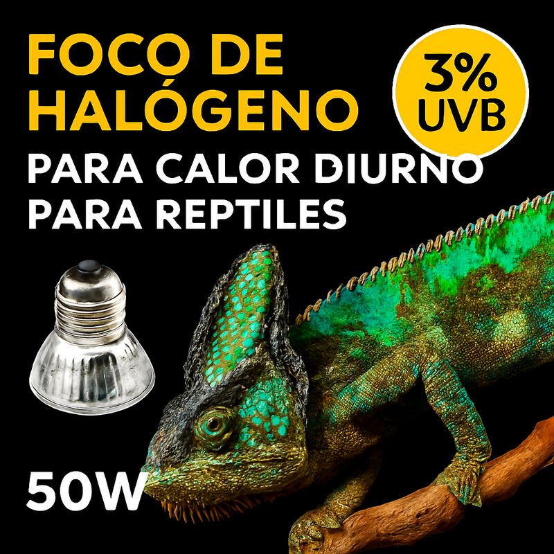 FOCO HALOGUENO 50W 3%UVB