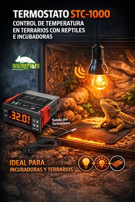 TERMOSTATO STC-1000