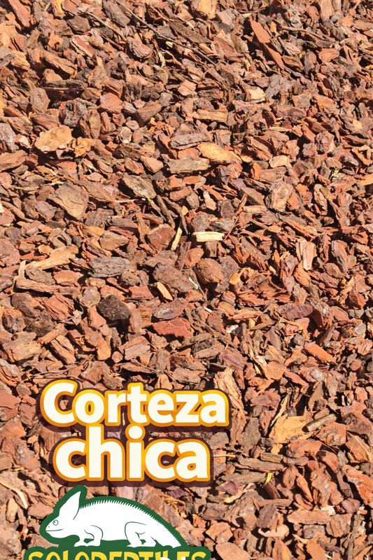 CORTEZA CHICA