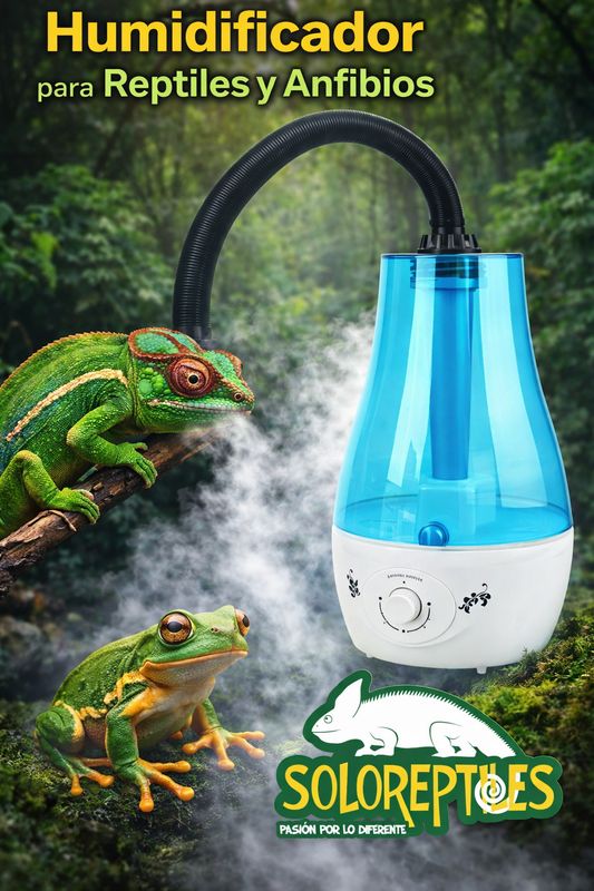 HUMIDIFICADOR CON MANGUERA