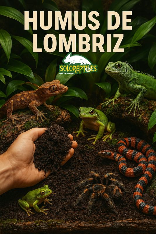 HUMUS DE LOMBRIZ